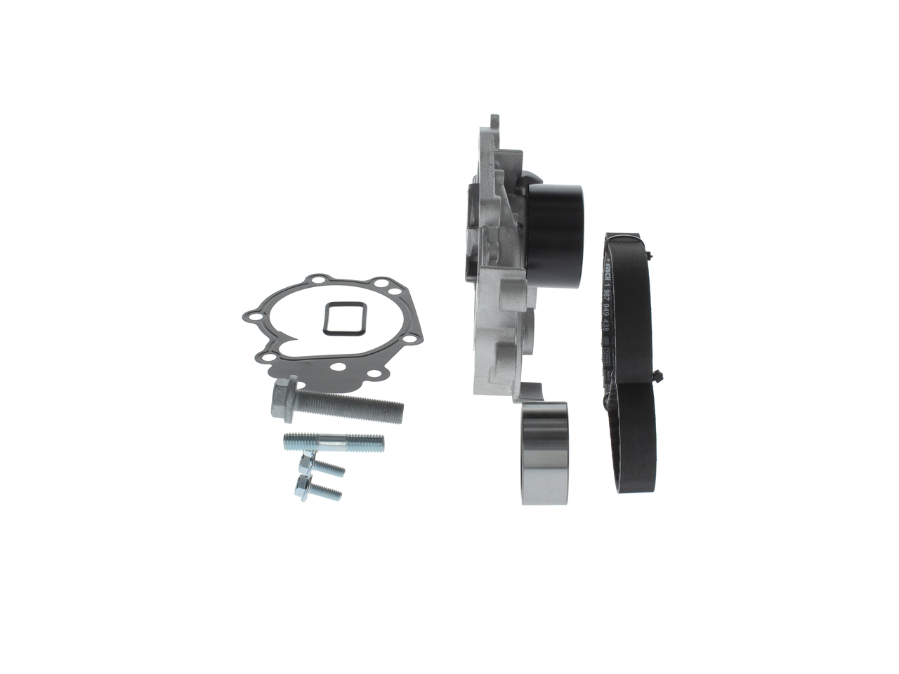 Set pompacinghia dentata