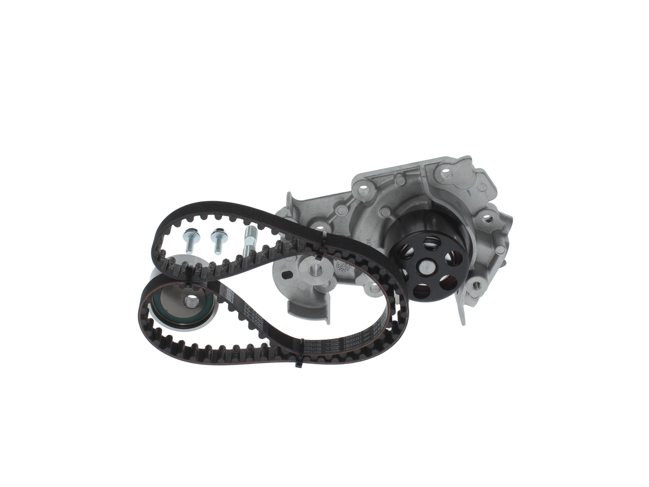 Set pompacinghia dentata