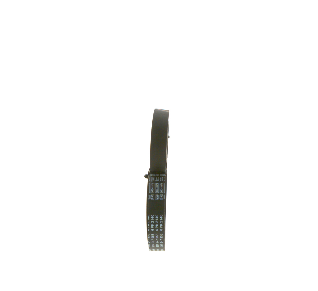 CINGHIA POLY-V