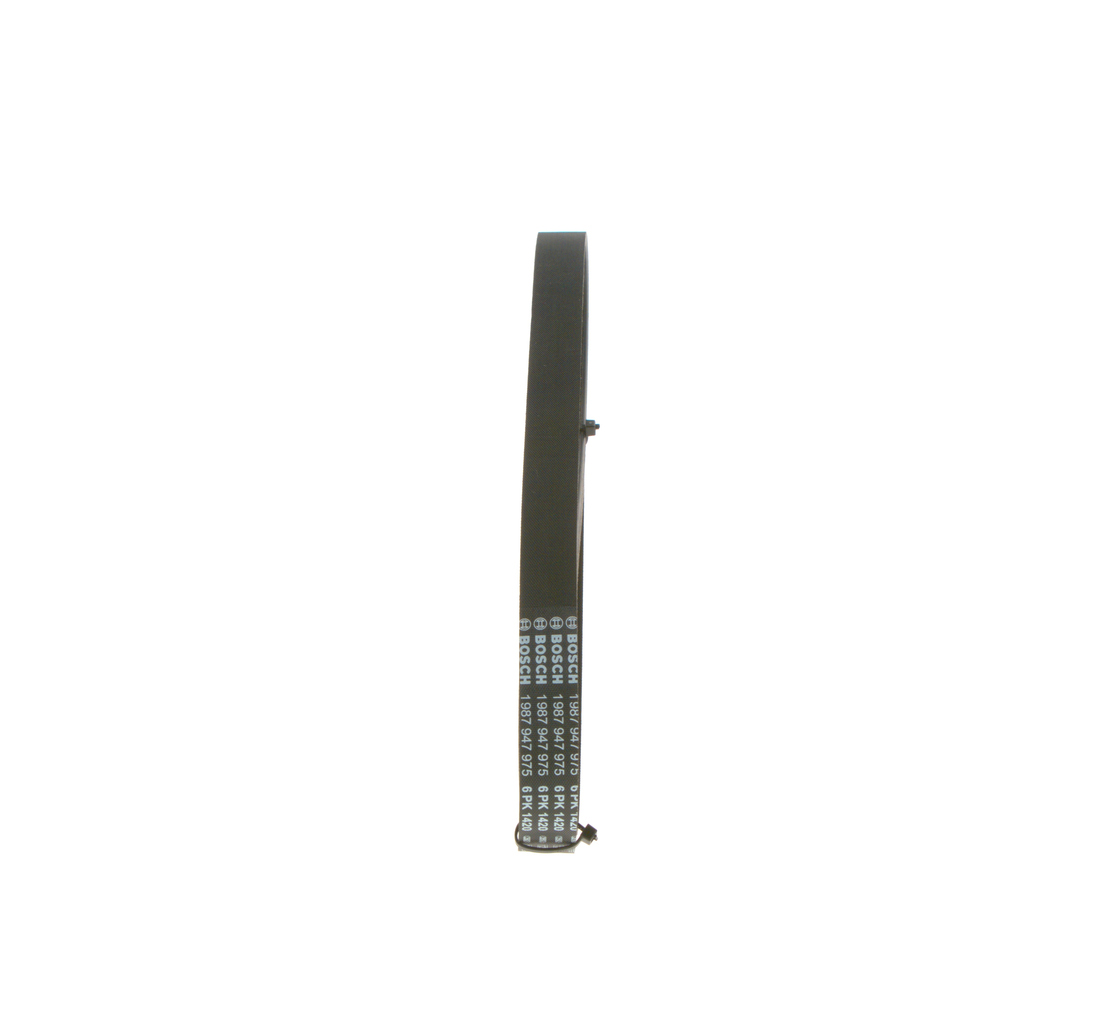 CINGHIA POLY-V