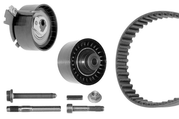 KIT CINGHIE DENTATE