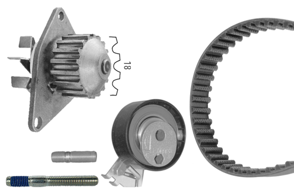 SET POMPACINGHIA DENTATA