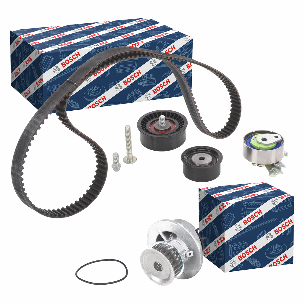 SET POMPACINGHIA DENTATA