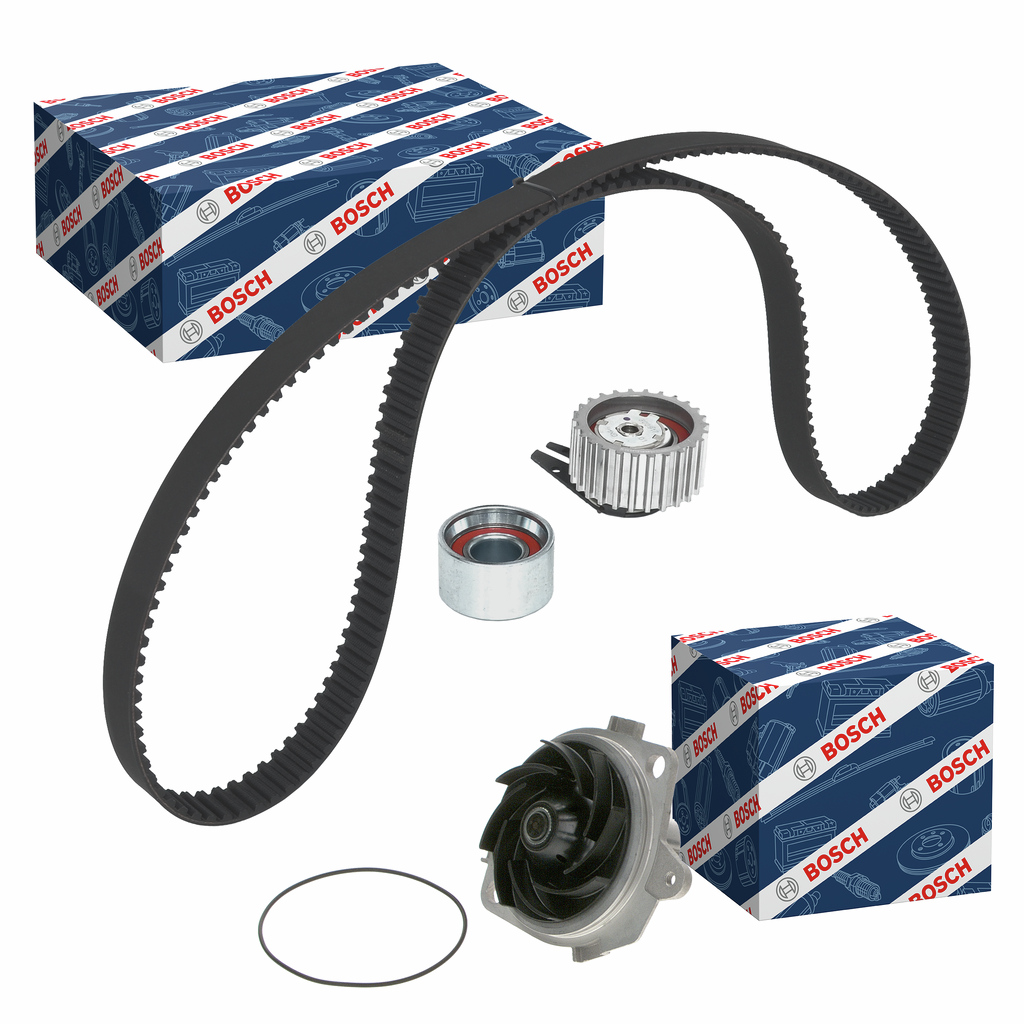SET POMPACINGHIA DENTATA