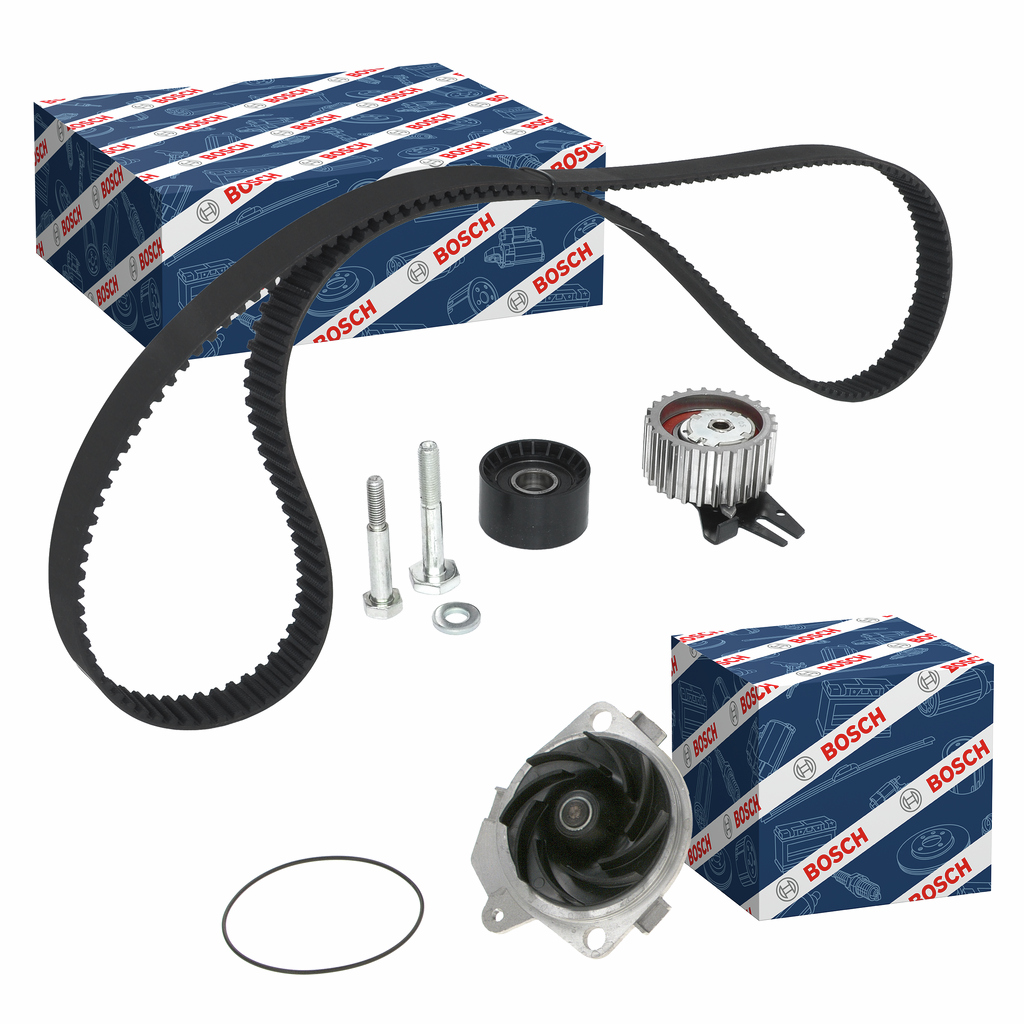SET POMPACINGHIA DENTATA