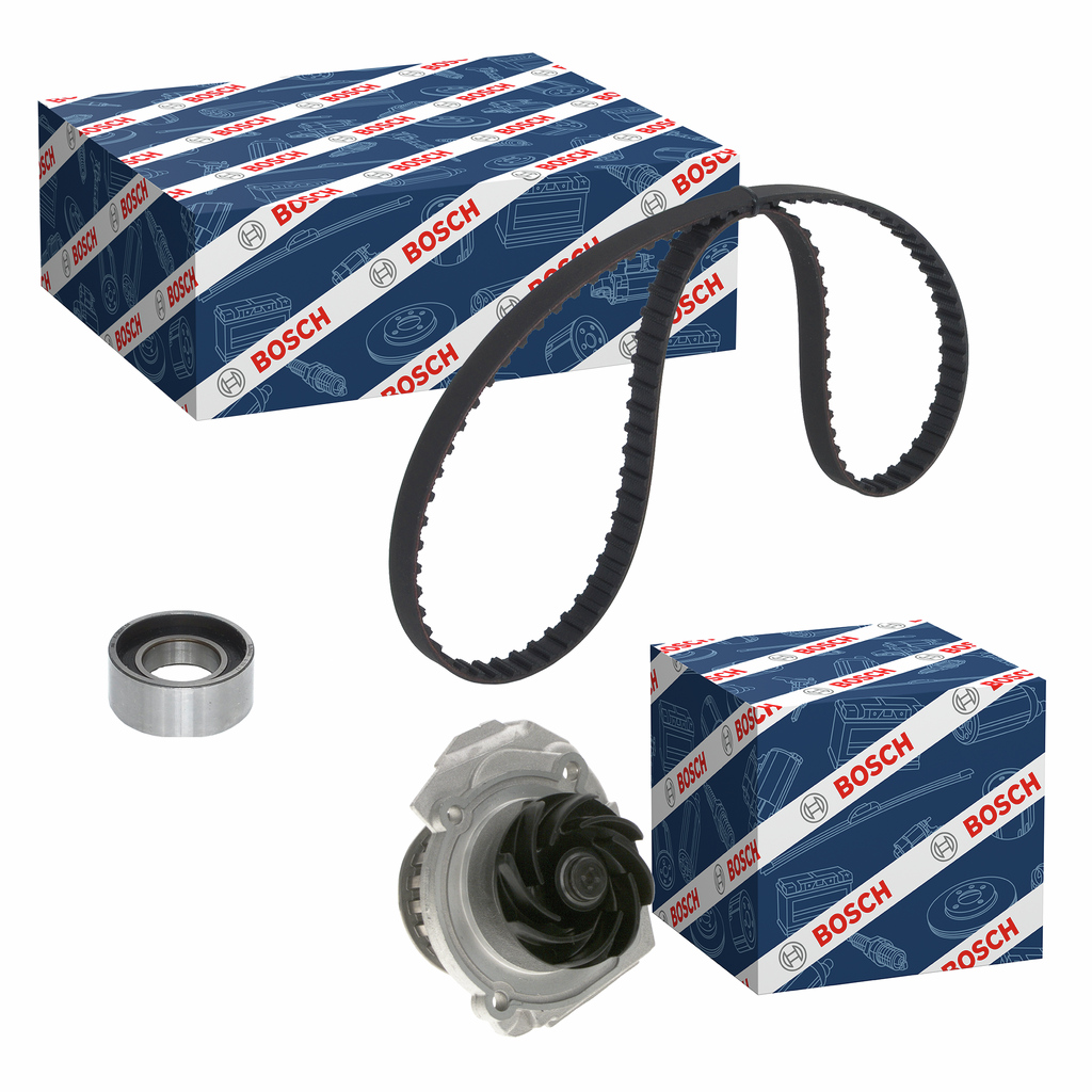 SET POMPACINGHIA DENTATA