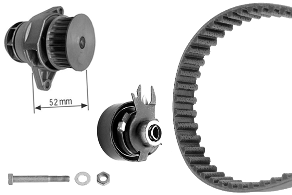SET POMPACINGHIA DENTATA