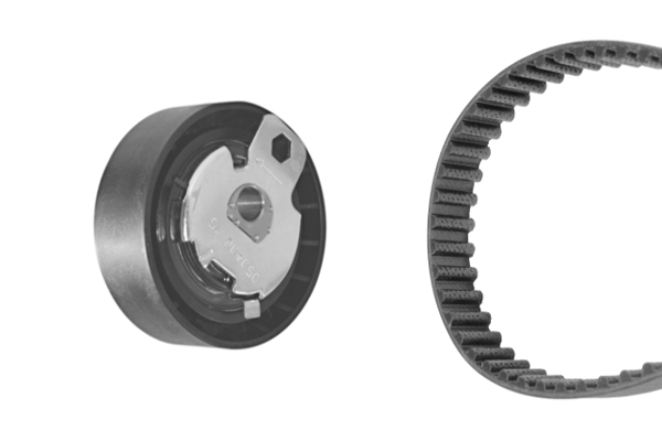 SET RULLI/CINGHIA DENTATA