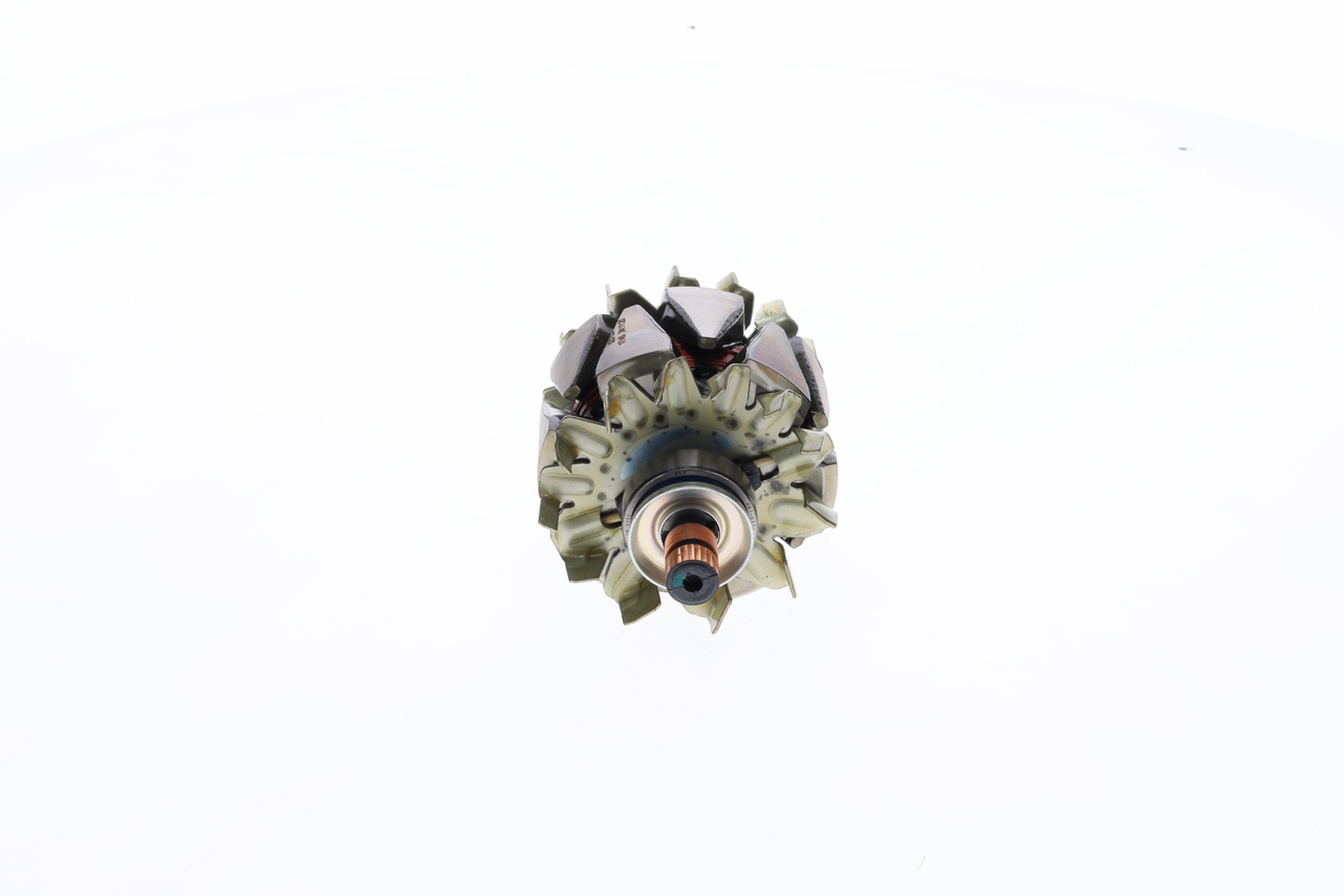 ROTORE, ALTERNATORE