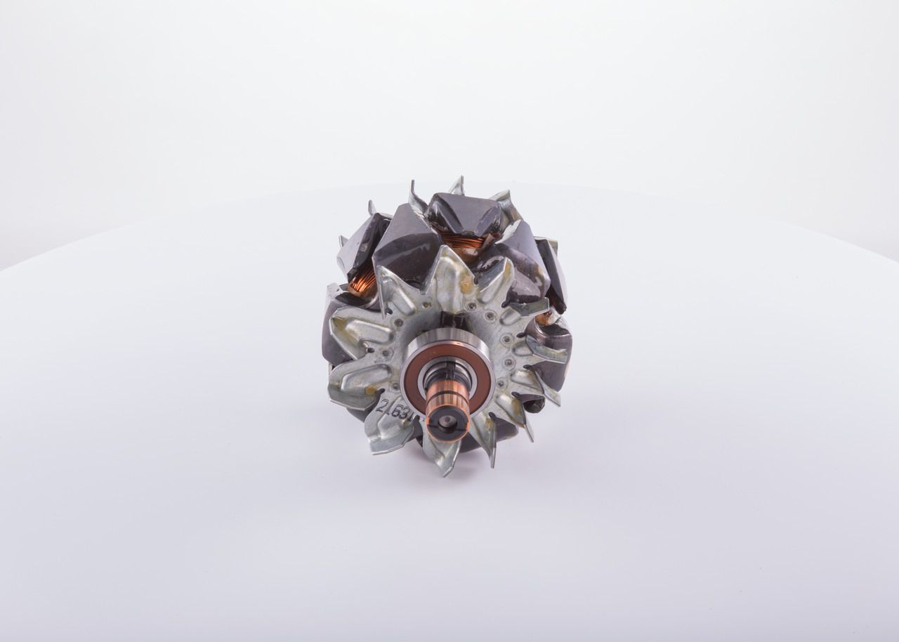 ROTORE, ALTERNATORE