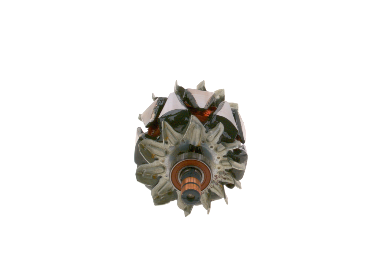 ROTORE, ALTERNATORE