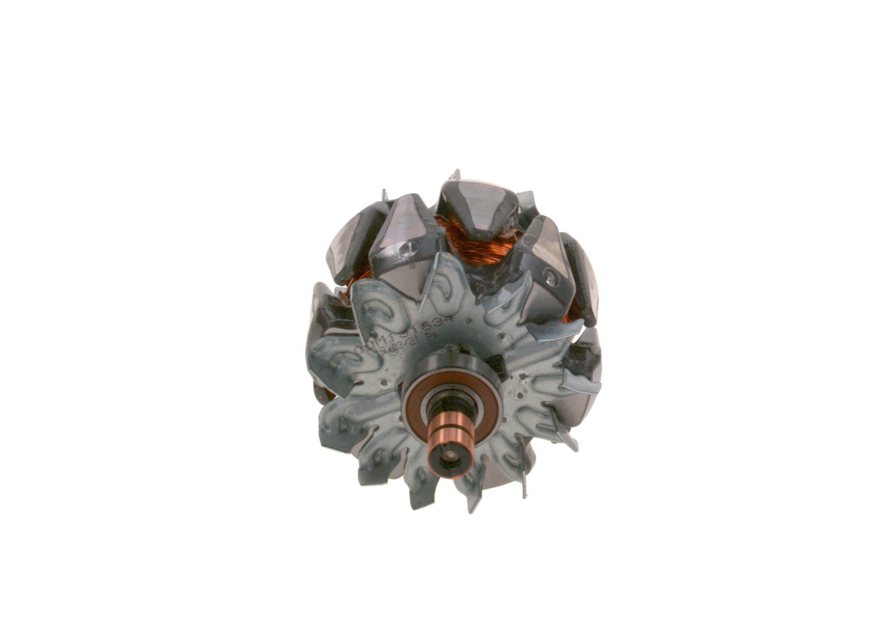 ROTORE, ALTERNATORE