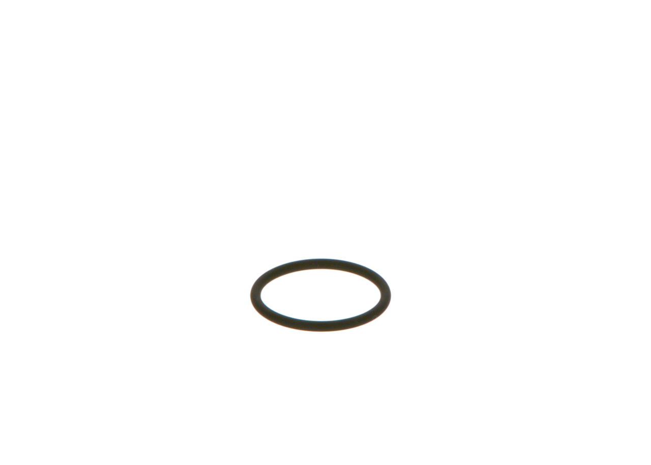 BOSCH O-RING