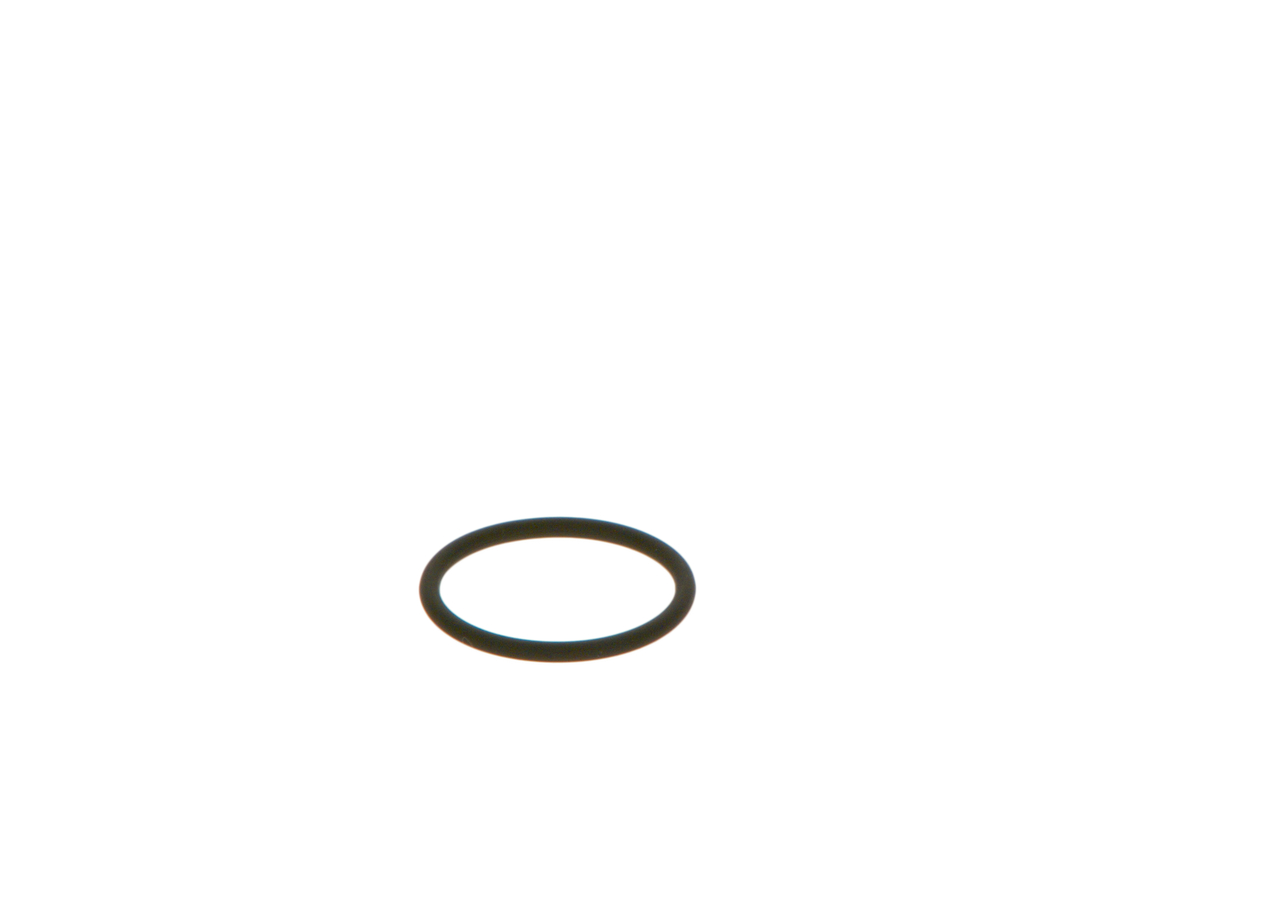 BOSCH O-RING