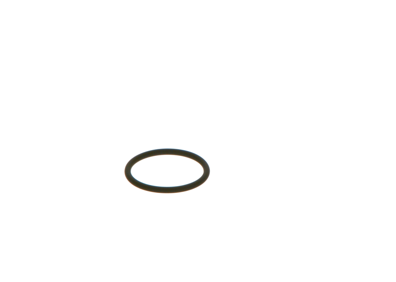 BOSCH O-RING