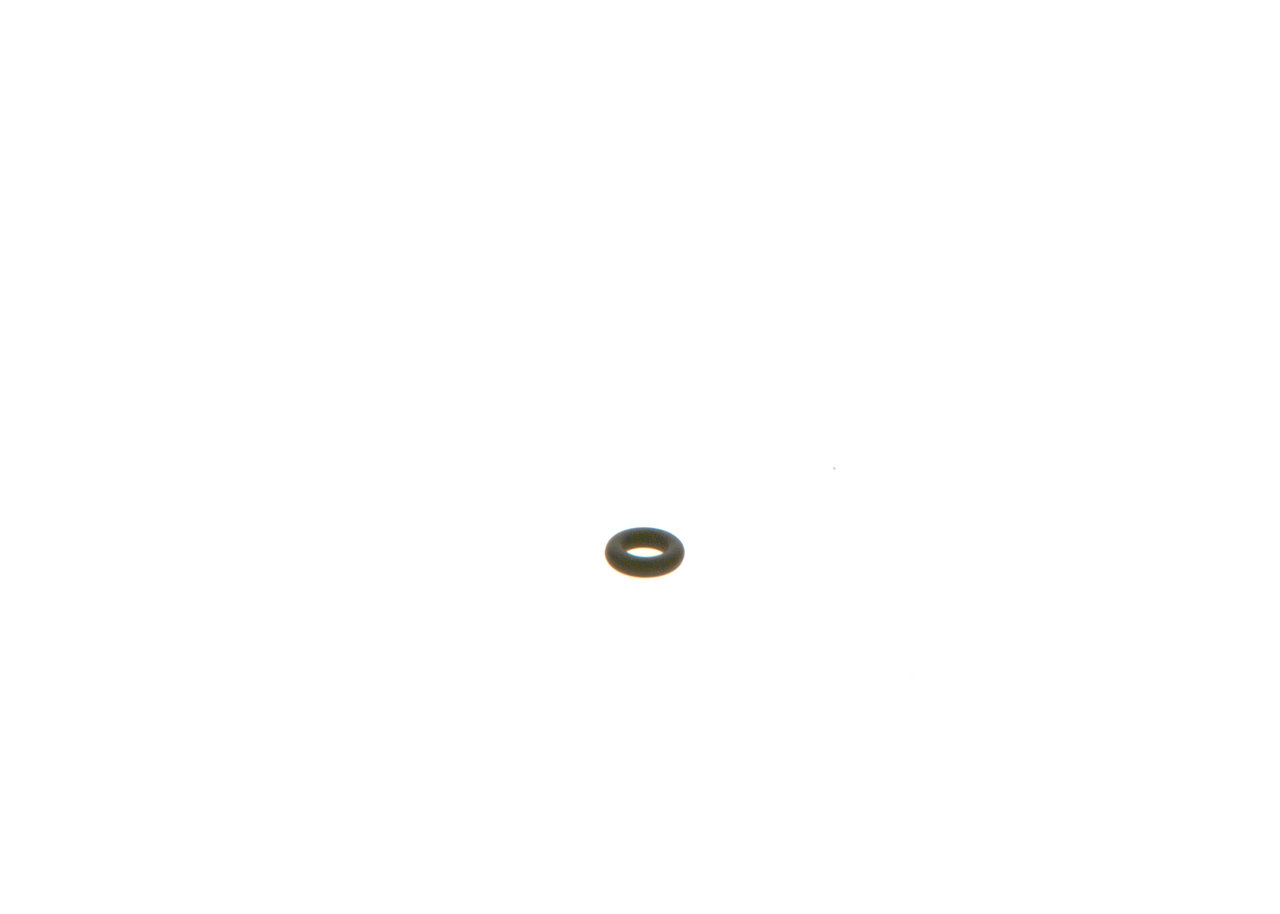 O-RING
