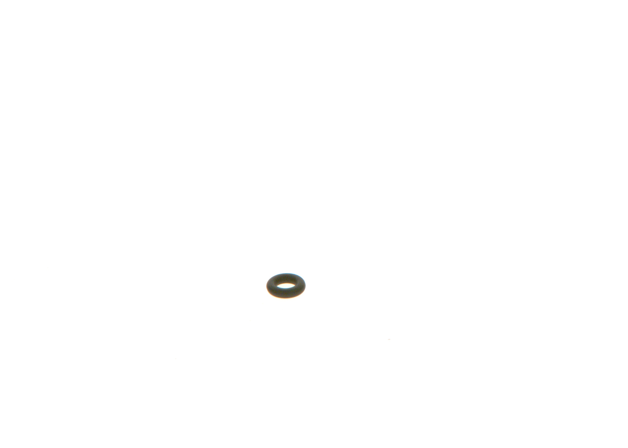 O-RING