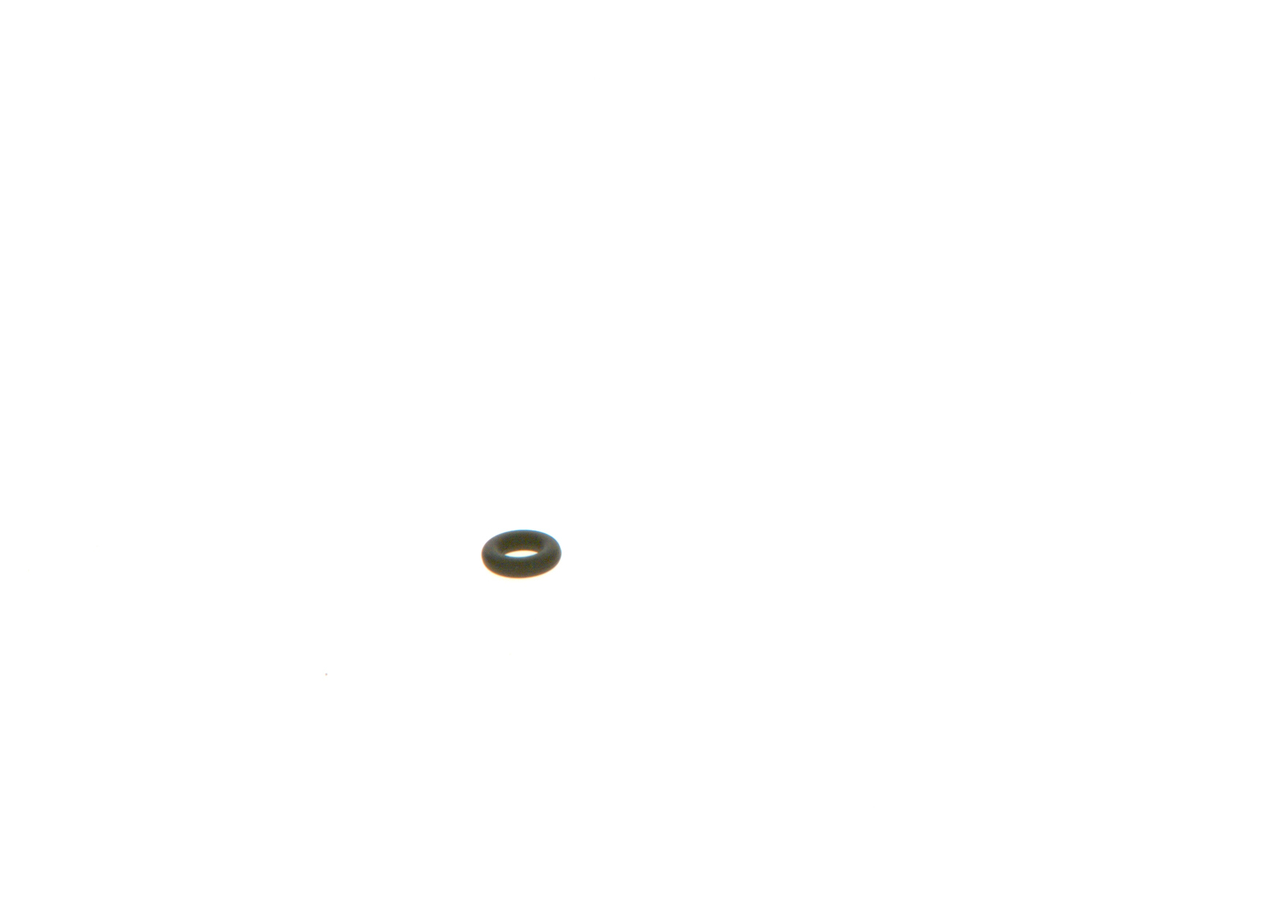 O-RING