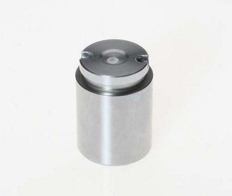 Pistone, pinza freno BREMBO FPI103