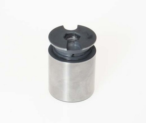 Pistone, pinza freno BREMBO FPI124