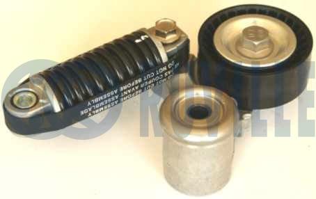 Tendicinghia, cinghia poly-v RUVILLE 542104