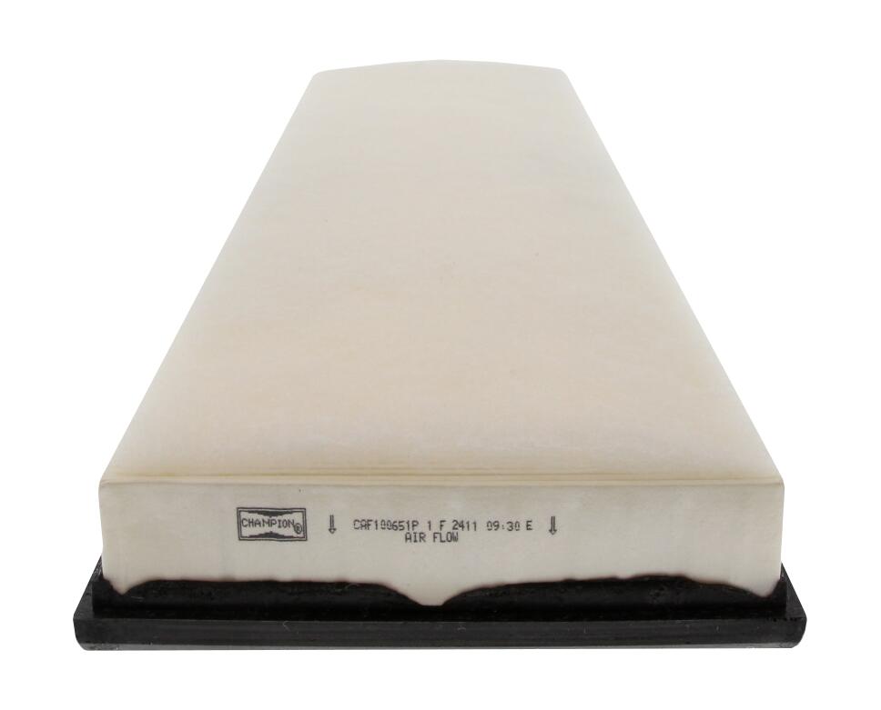 Filtro aria CHAMPION CAF100651P