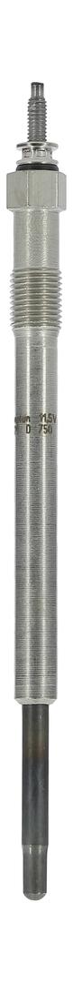 Candeletta CHAMPION CH229