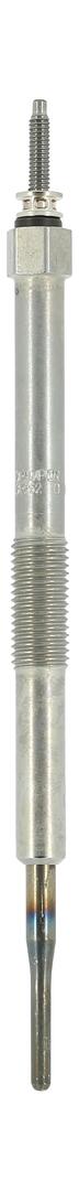 Candeletta CHAMPION CH252