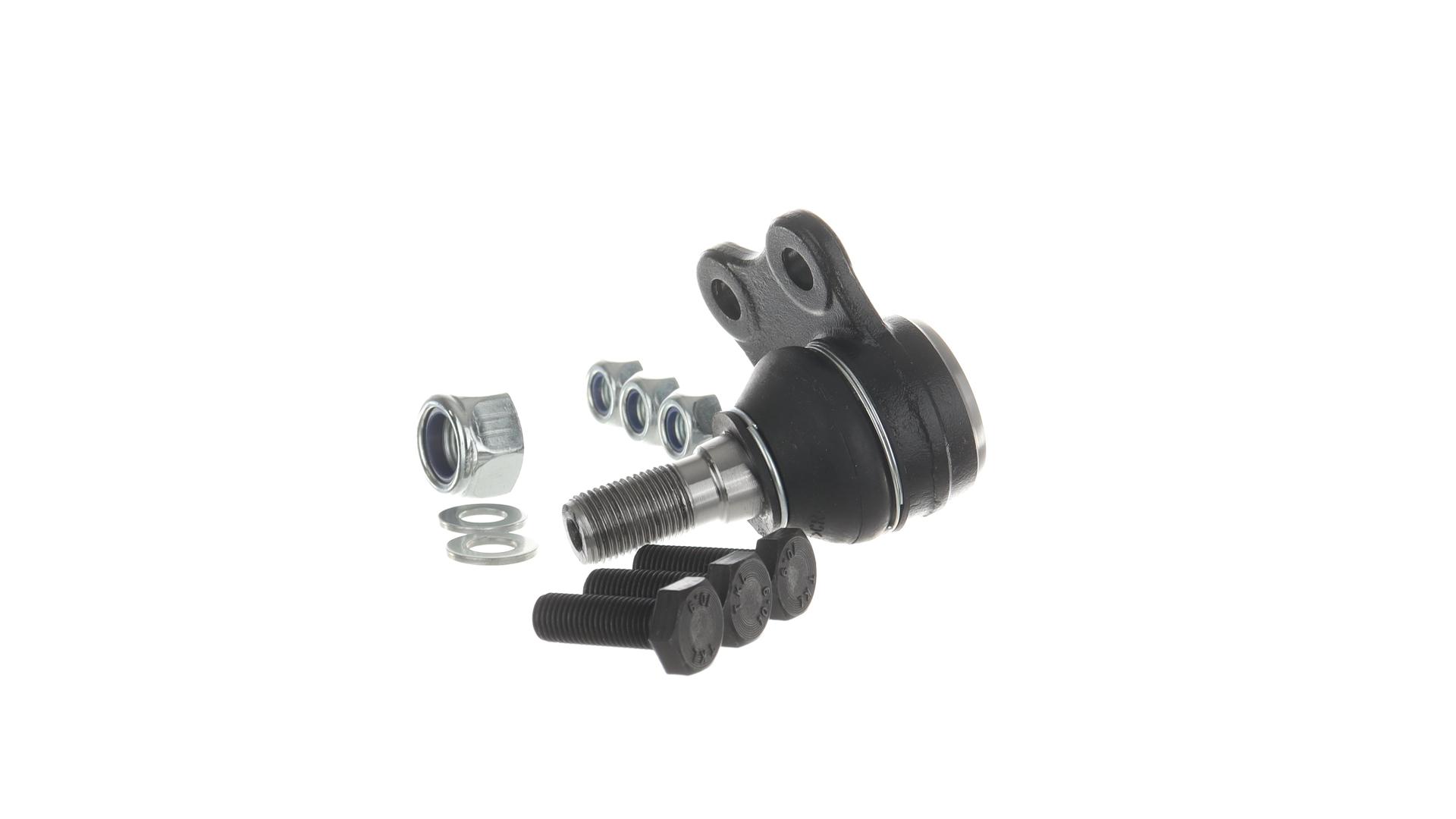 GIUNTO DI SUPPORTO   GUIDA DXSX  PRIMASTAR