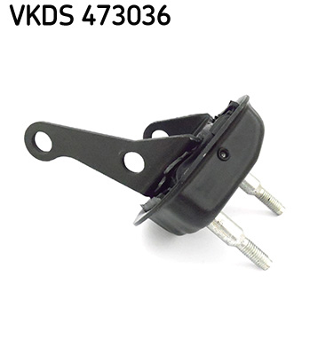 CORPO ASSIALE