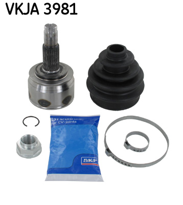Kit giunti omocinetici