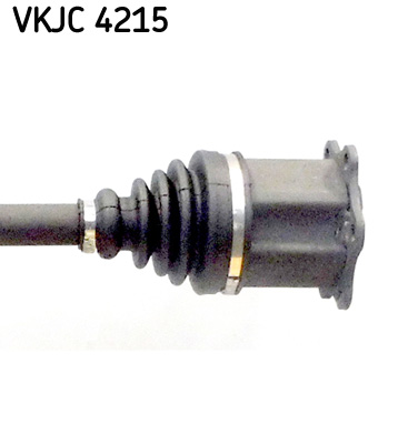 KIT SEMIASSE