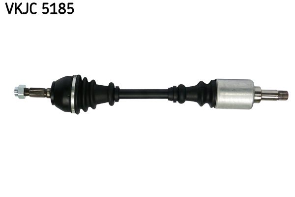 CITROÃƒâ€¹N ZX