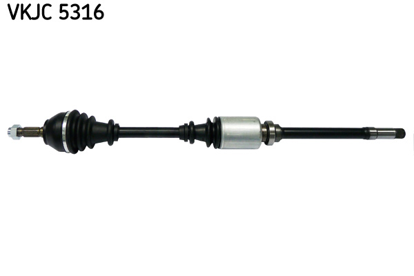 CITROÃƒâ€¹N ZX