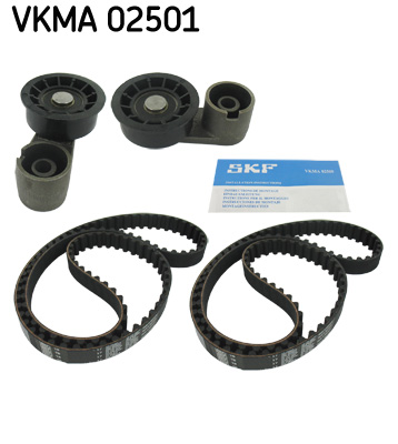 KIT CINGHIE DENTATE
