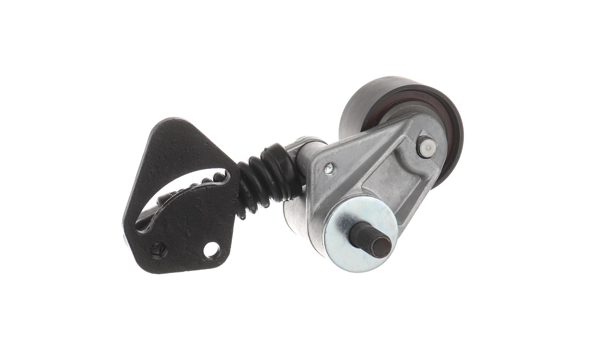 TENDICINGHIA, CINGHIA POLY-V