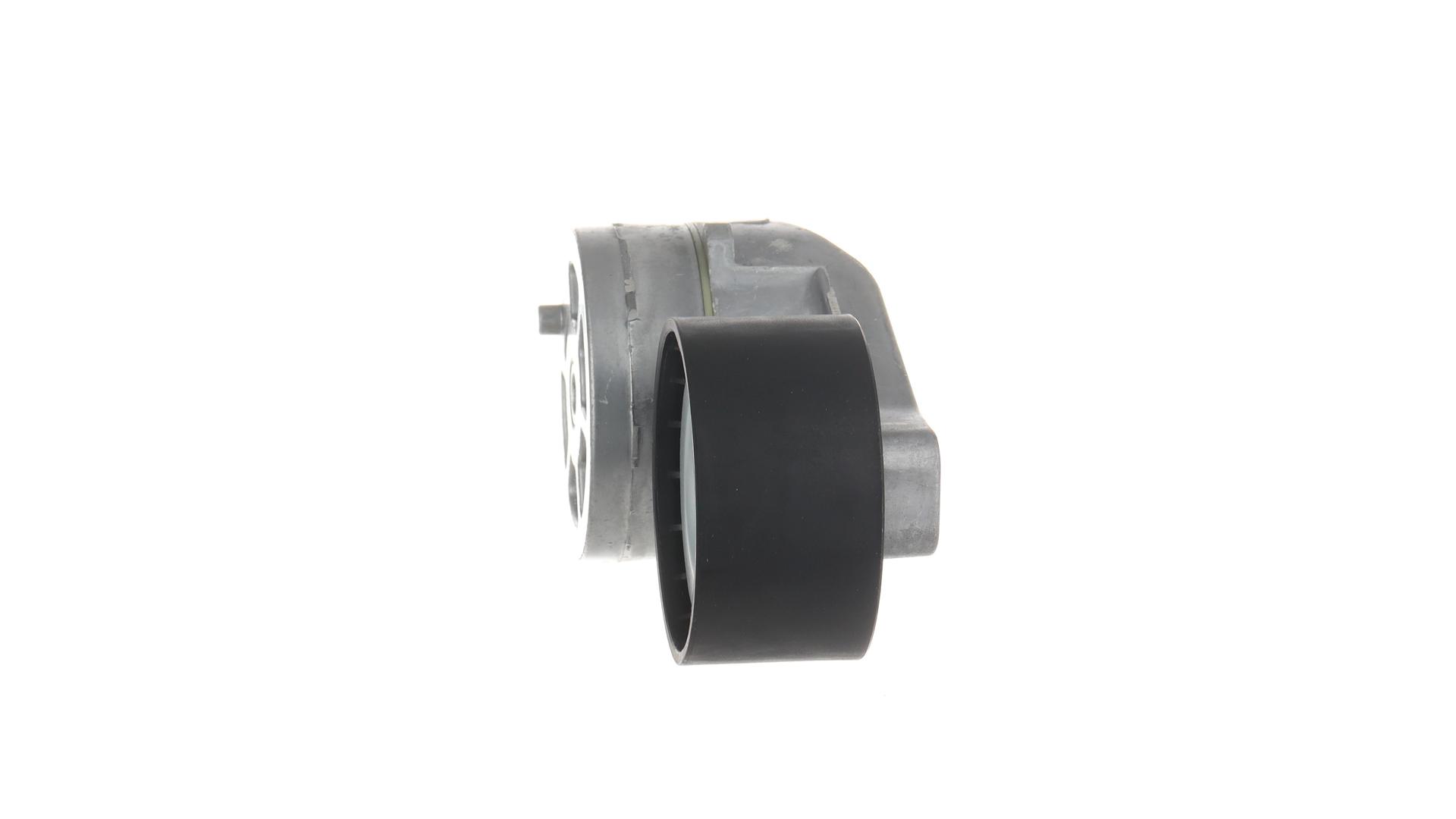 TENDICINGHIA, CINGHIA POLY-V