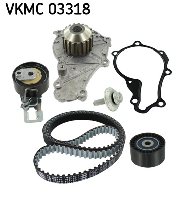 KIT DIS.C.POMPA ACQ. CIT.C3 014>