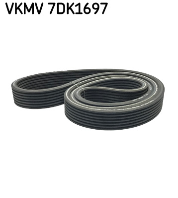 KIT CINGHIE ORGANI AUSILIARI