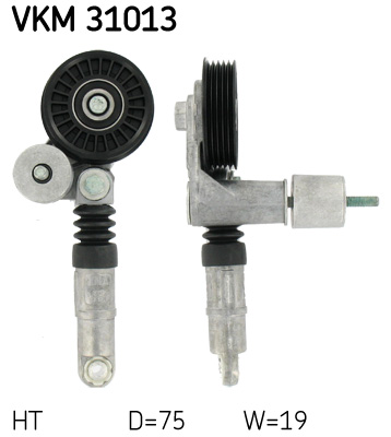 TENDICINGHIA, CINGHIA POLY-V
