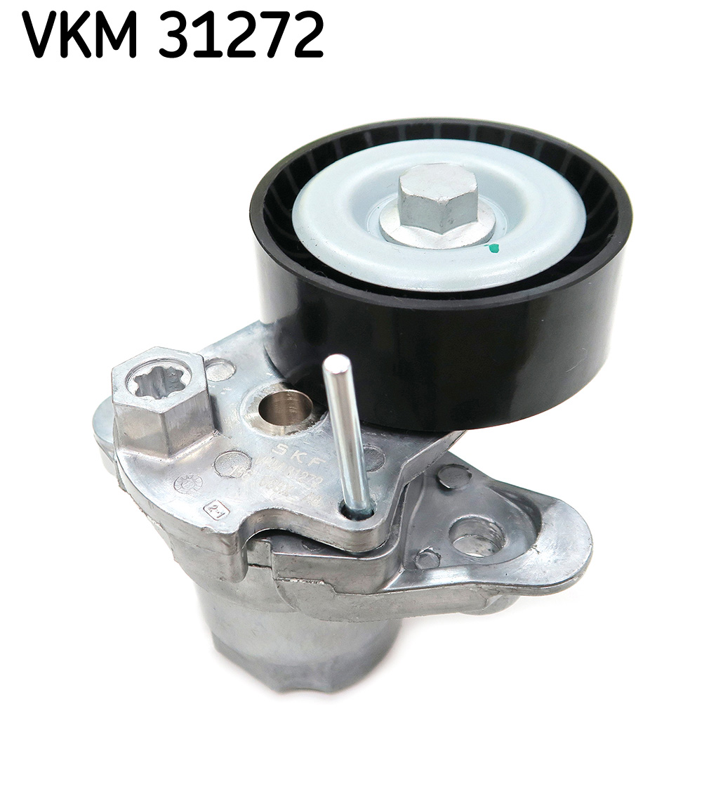 TENDICINGHIA, CINGHIA POLY-V