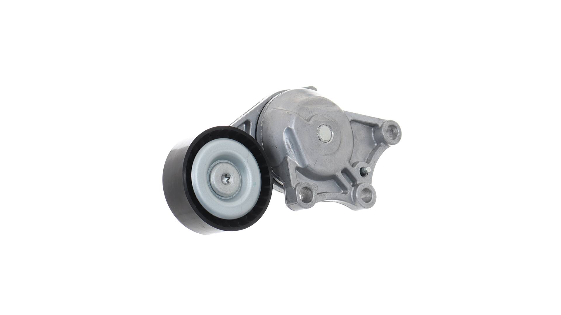 SKF TENDITORE