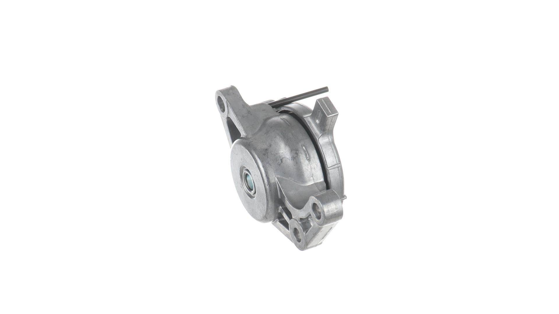 TENDICINGHIA, CINGHIA POLY-V