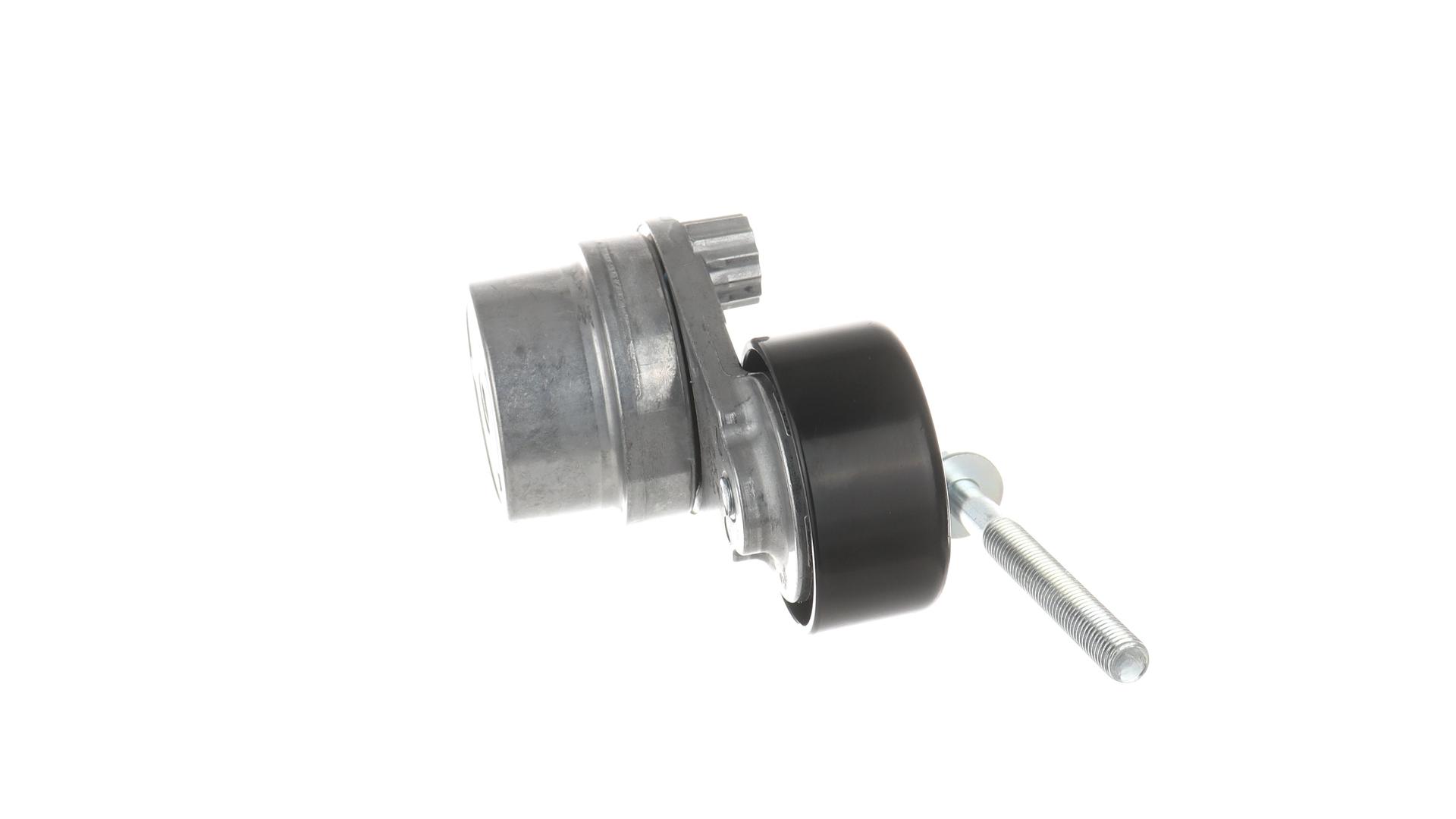 TENDICINGHIA, CINGHIA POLY-V