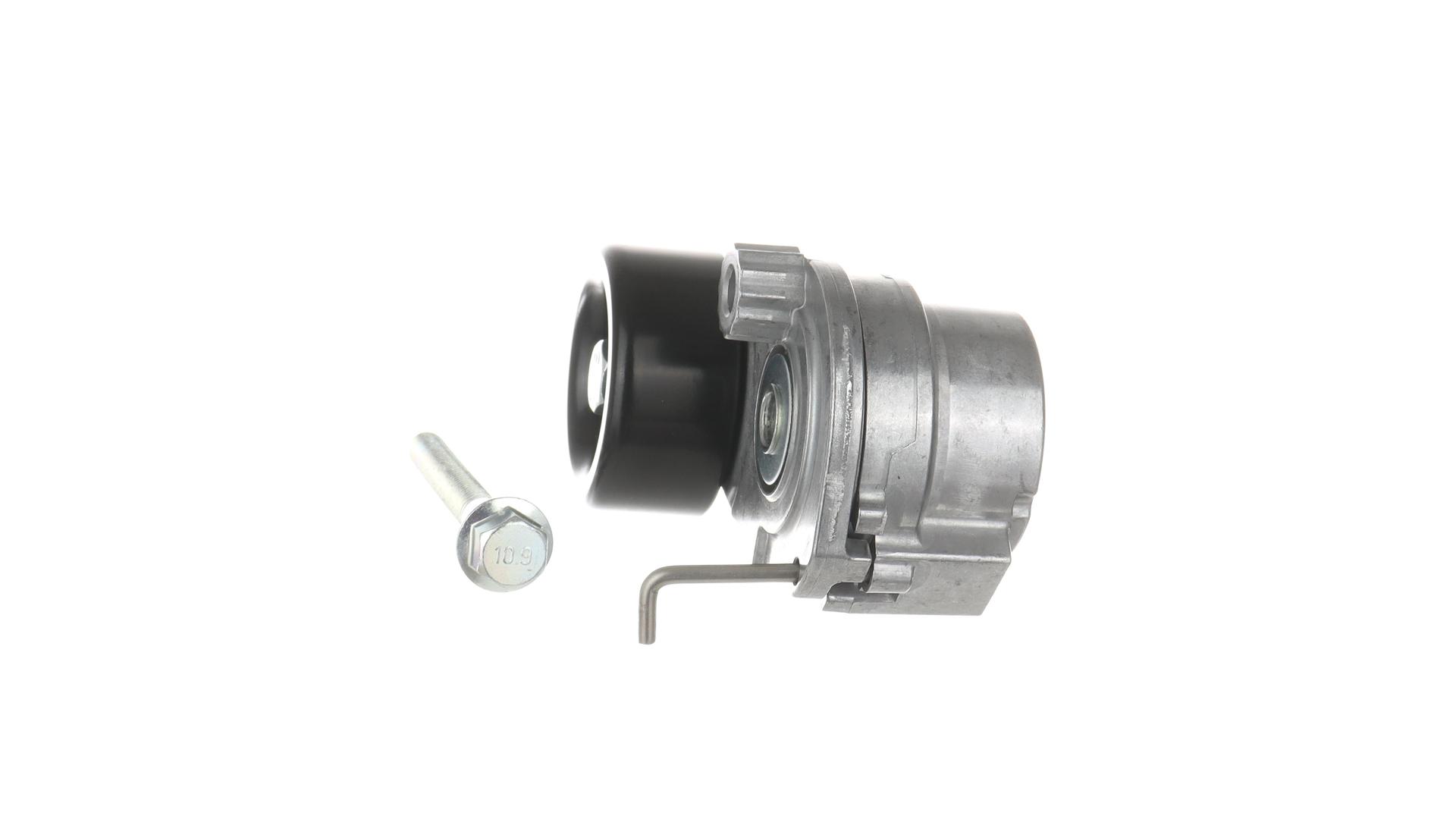 TENDICINGHIA, CINGHIA POLY-V