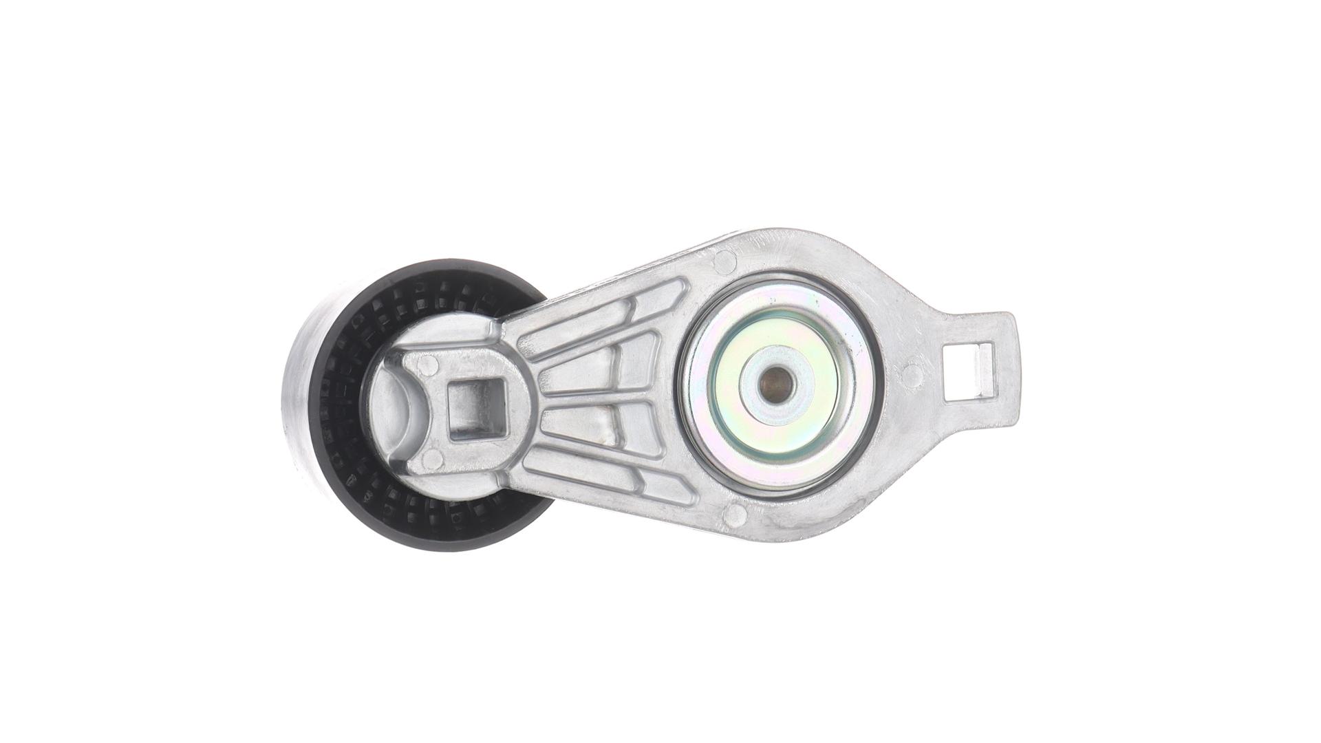 TENDICINGHIA, CINGHIA POLY-V