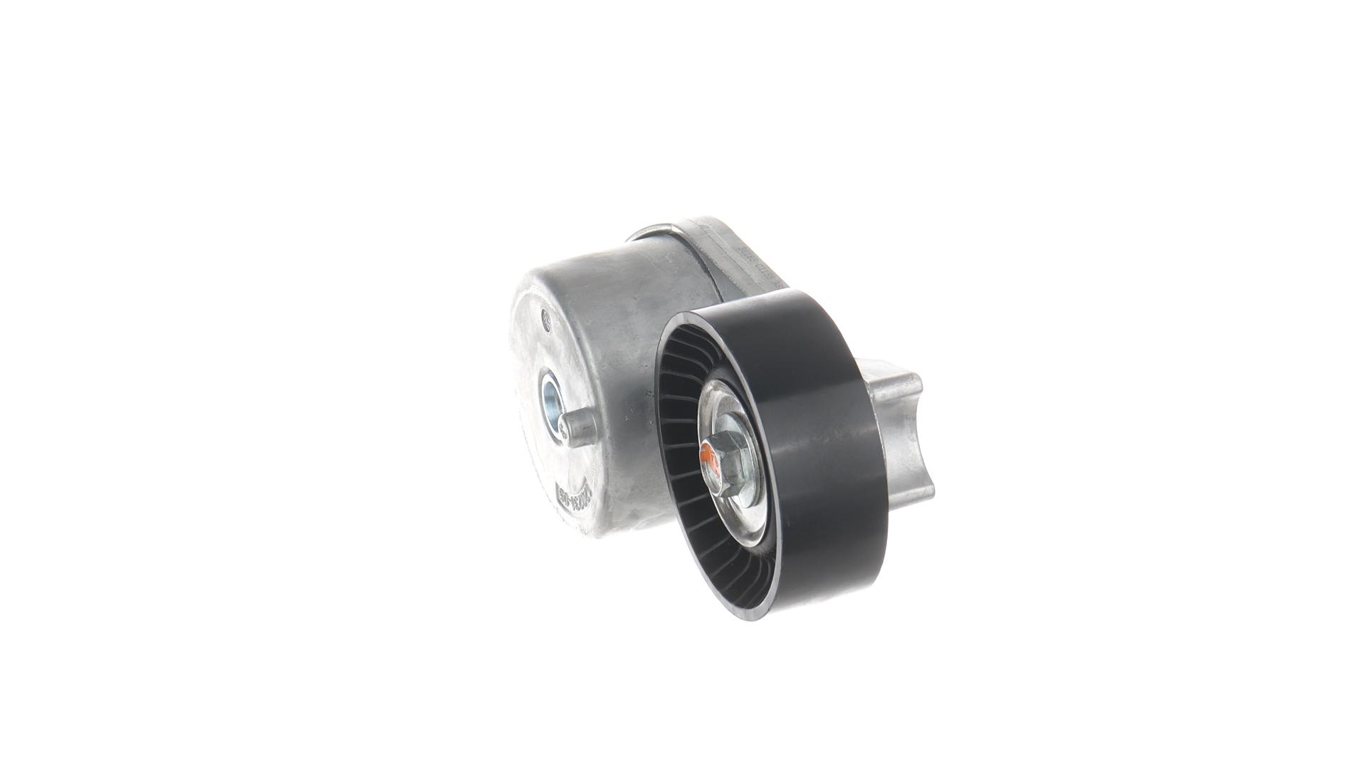 TENDICINGHIA, CINGHIA POLY-V