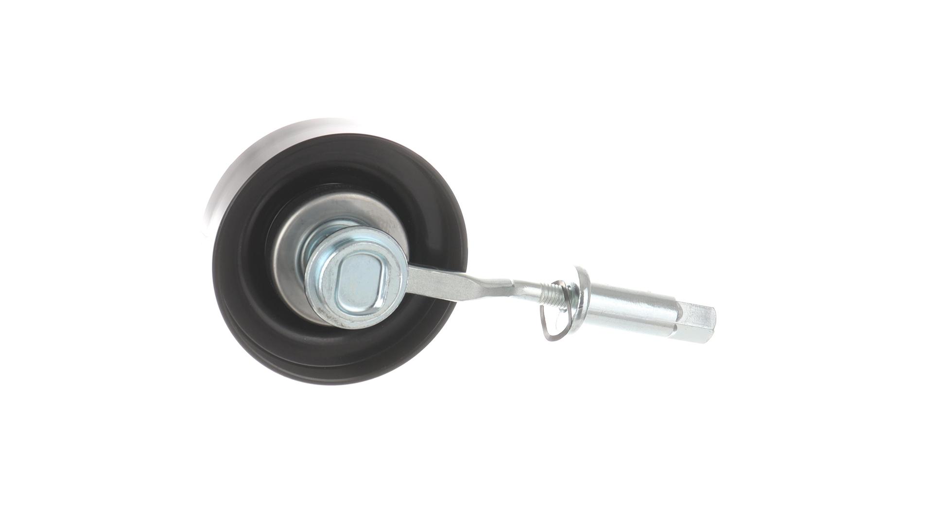 TENDICINGHIA, CINGHIA POLY-V