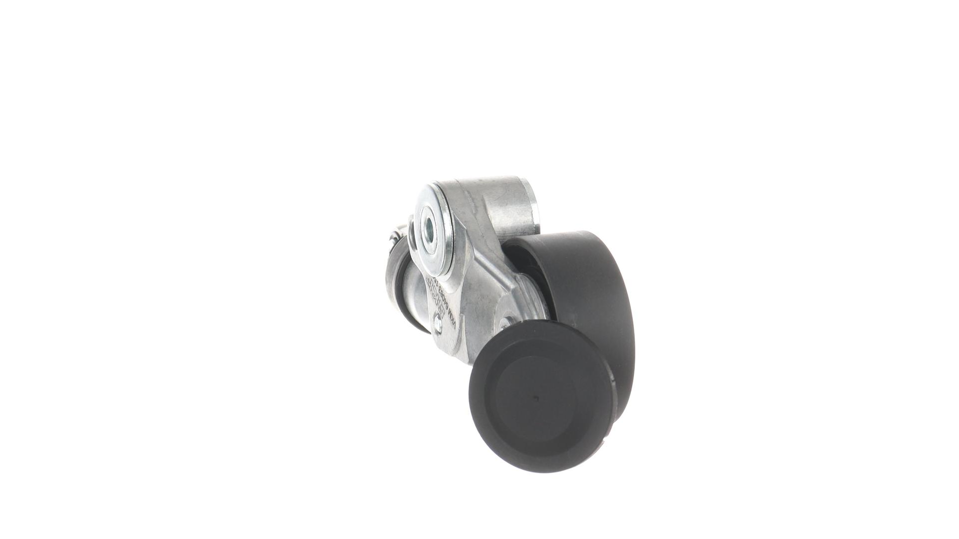 TENDICINGHIA, CINGHIA POLY-V