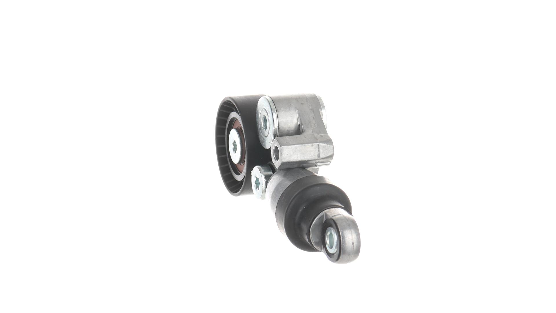 TENDICINGHIA, CINGHIA POLY-V